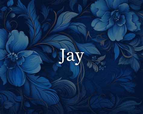 The Meaning Of JAY